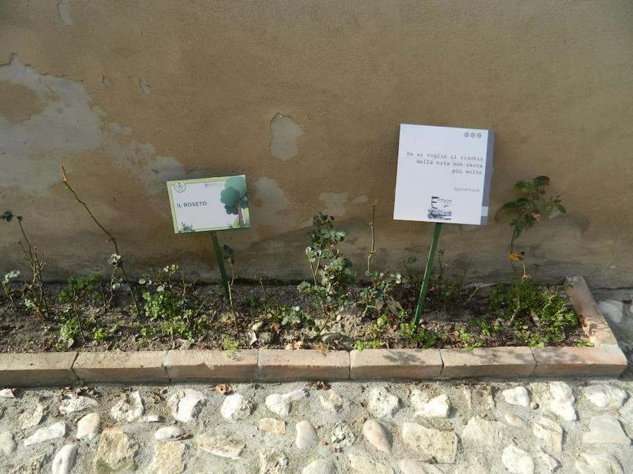 Apartamento Casa Dell'Oliveto "Parcheggio Gratuito" Narni Exterior foto
