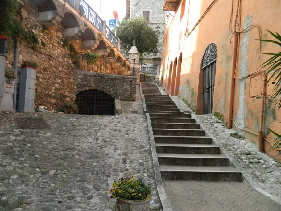 Apartamento Casa Dell'Oliveto "Parcheggio Gratuito" Narni Exterior foto